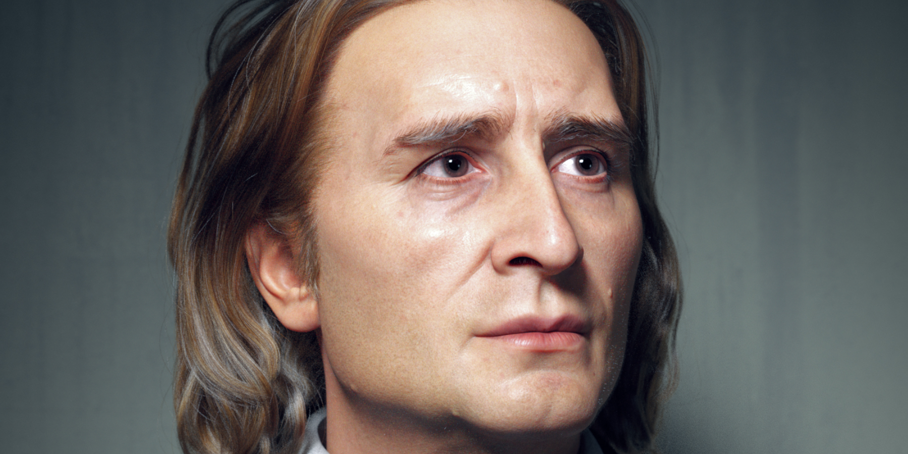 Ritratto di Franz Liszt da giovane